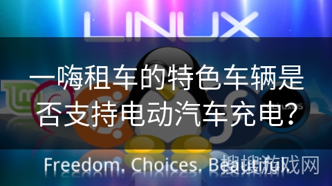 一嗨租车的特色车辆是否支持电动汽车充电？