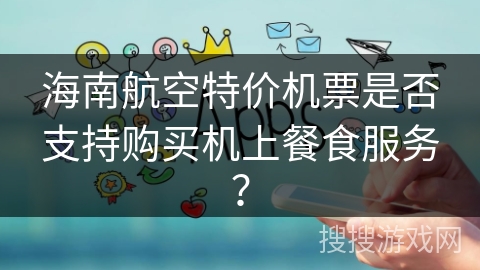 海南航空特价机票是否支持购买机上餐食服务？