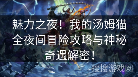 魅力之夜！我的汤姆猫全夜间冒险攻略与神秘奇遇解密！