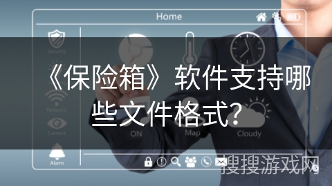 《保险箱》软件支持哪些文件格式？