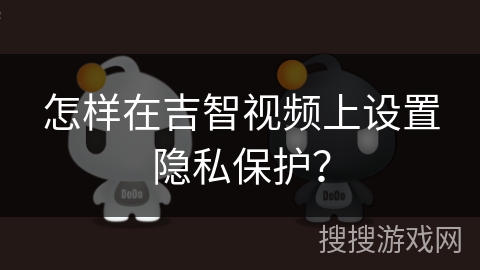 怎样在吉智视频上设置隐私保护？