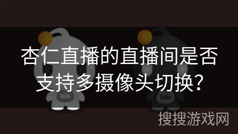 杏仁直播的直播间是否支持多摄像头切换? 杏仁直播的直播间是否支持多摄像头切换?