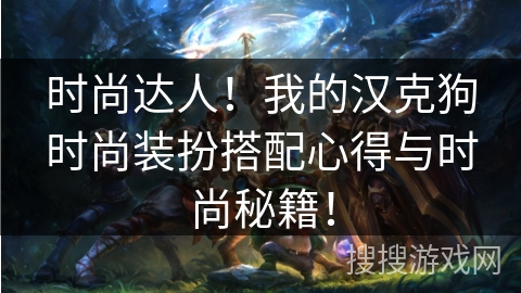 时尚达人！我的汉克狗时尚装扮搭配心得与时尚秘籍！