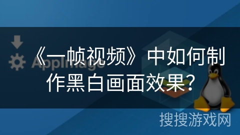 《一帧视频》中如何制作黑白画面效果？