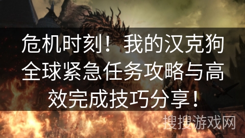危机时刻!我的汉克狗全球紧急任务攻略与高效完成技巧分享! 危机时刻!我的汉克狗全球紧急任务攻略与高效完成技巧分享!