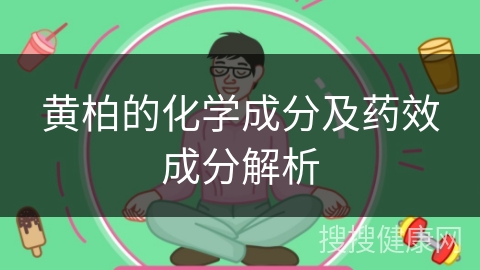 黄柏的化学成分及药效成分解析