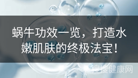 蜗牛功效一览，打造水嫩肌肤的终极法宝！