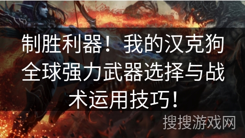 制胜利器！我的汉克狗全球强力武器选择与战术运用技巧！
