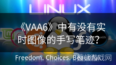 《VAA6》中有没有实时图像的手写笔迹？
