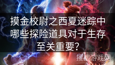 摸金校尉之西夏迷踪中哪些探险道具对于生存至关重要？