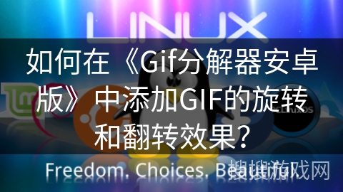 如何在《Gif分解器安卓版》中添加GIF的旋转和翻转效果？
