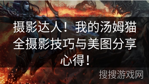 摄影达人！我的汤姆猫全摄影技巧与美图分享心得！