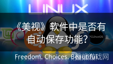 《美视》软件中是否有自动保存功能？
