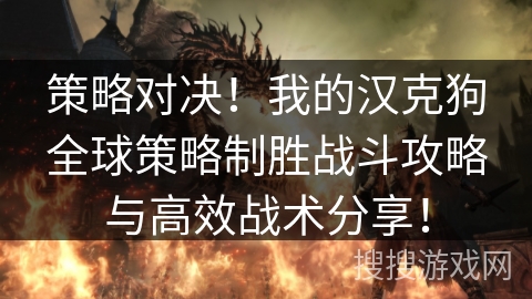 策略对决!我的汉克狗全球策略制胜战斗攻略与高效战术分享! 策略对决!我的汉克狗全球策略制胜战斗攻略与高效战术分享!