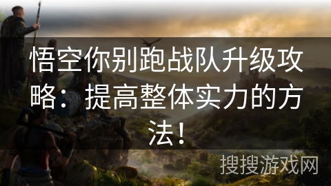 悟空你别跑战队升级攻略：提高整体实力的方法！