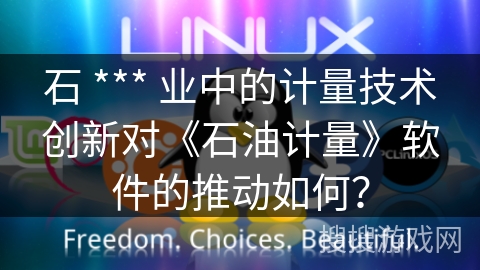 石 *** 业中的计量技术创新对《石油计量》软件的推动如何？