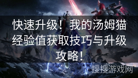 快速升级！我的汤姆猫经验值获取技巧与升级攻略！