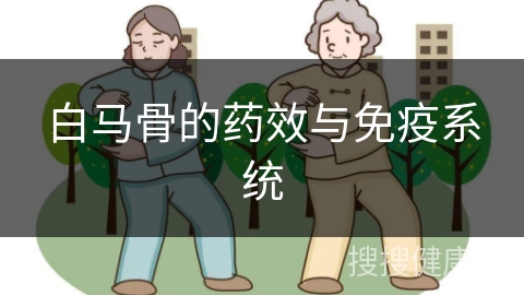 白马骨的药效与免疫系统