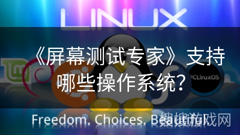 《屏幕测试专家》支持哪些操作系统？