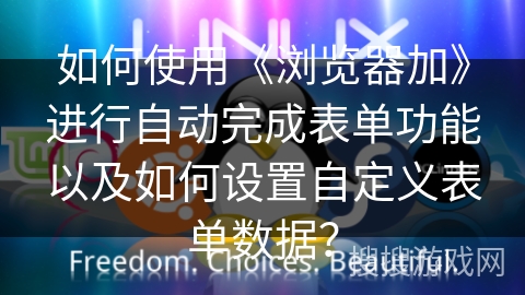 如何使用《浏览器加》进行自动完成表单功能以及如何设置自定义表单数据？