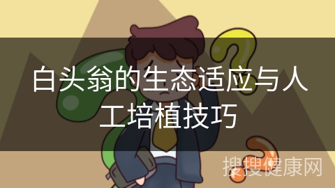 白头翁的生态适应与人工培植技巧