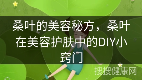 桑叶的美容秘方，桑叶在美容护肤中的DIY小窍门