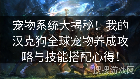 宠物系统大揭秘！我的汉克狗全球宠物养成攻略与技能搭配心得！