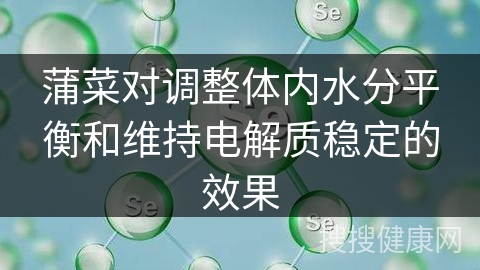 蒲菜对调整体内水分平衡和维持电解质稳定的效果