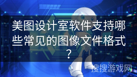 美图设计室软件支持哪些常见的图像文件格式？