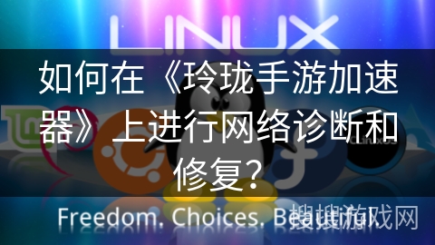 如何在《玲珑手游加速器》上进行网络诊断和修复？