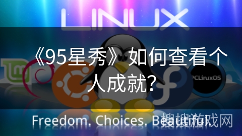 《95星秀》如何查看个人成就？