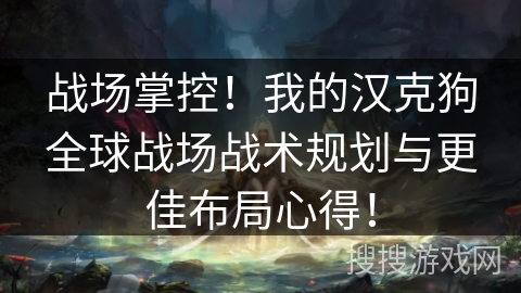 战场掌控！我的汉克狗全球战场战术规划与更佳布局心得！