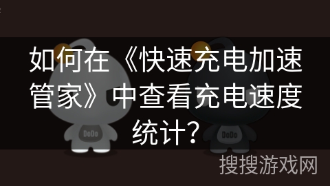 如何在《快速充电加速管家》中查看充电速度统计？