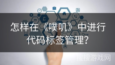 怎样在《噗叽》中进行代码标签管理？