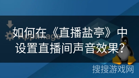如何在《直播盐亭》中设置直播间声音效果？