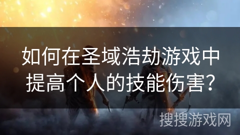 如何在圣域浩劫游戏中提高个人的技能伤害？