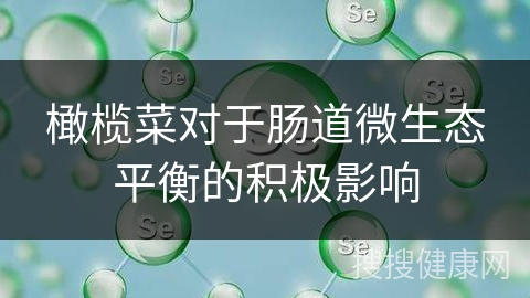 橄榄菜对于肠道微生态平衡的积极影响