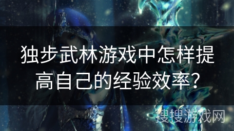 独步武林游戏中怎样提高自己的经验效率? 独步武林游戏中怎样提高自己的经验效率?
