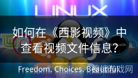 如何在《西影视频》中查看视频文件信息? 如何在《西影视频》中查看视频文件信息?