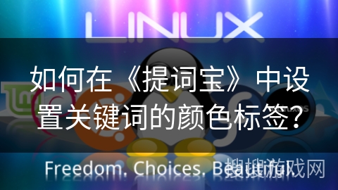 如何在《提词宝》中设置关键词的颜色标签？