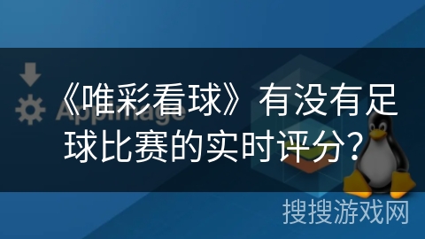 《唯彩看球》有没有足球比赛的实时评分？