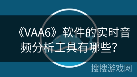 《VAA6》软件的实时音频分析工具有哪些？