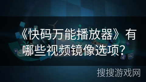 《快码万能播放器》有哪些视频镜像选项？