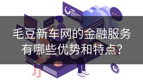 毛豆新车网的金融服务有哪些优势和特点？