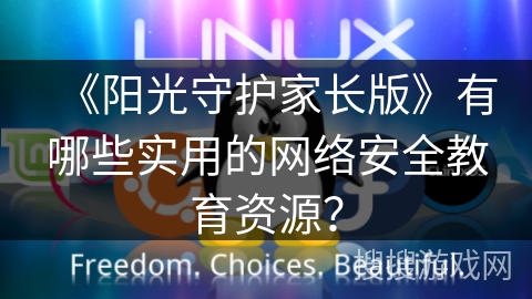 《阳光守护家长版》有哪些实用的网络安全教育资源？