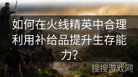 如何在火线精英中合理利用补给品提升生存能力？