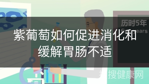 紫葡萄如何促进消化和缓解胃肠不适