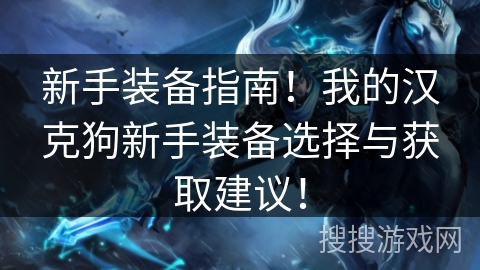 新手装备指南！我的汉克狗新手装备选择与获取建议！