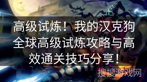 高级试炼!我的汉克狗全球高级试炼攻略与高效通关技巧分享! 高级试炼!我的汉克狗全球高级试炼攻略与高效通关技巧分享!