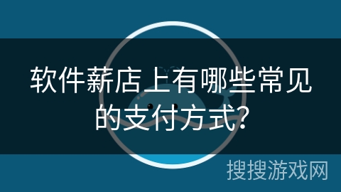软件薪店上有哪些常见的支付方式？